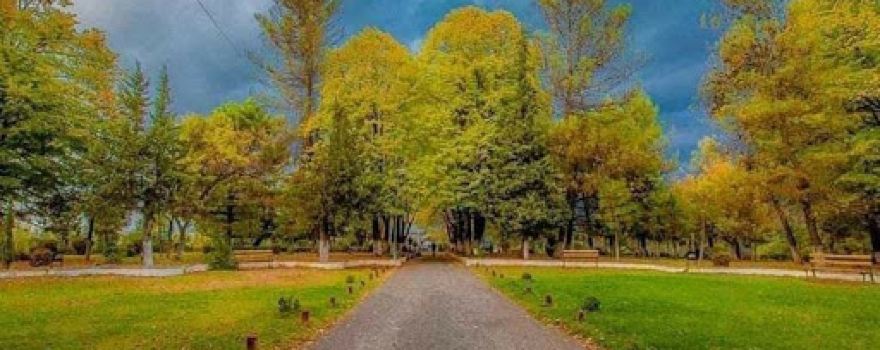 Geraldinë Park