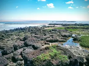 Praia do Machadinho