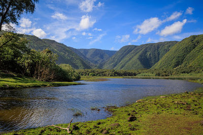 Kohala Forest Reserve