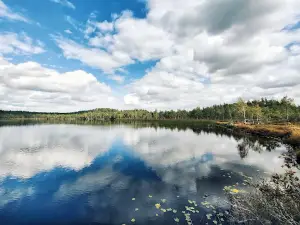 Teirumnīki Bog Trail
