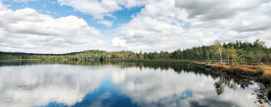 Teirumnīki Bog Trail
