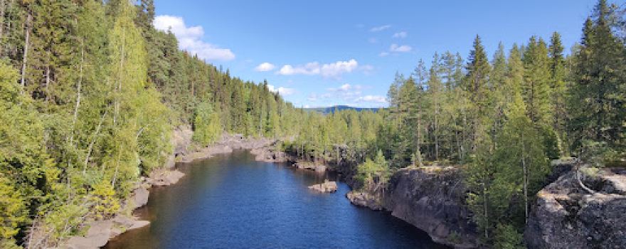 Handsjöforsen