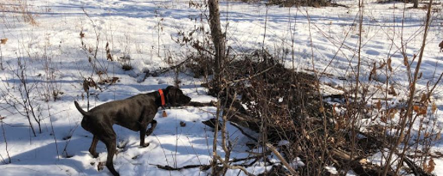 TMT Hunting Preserve Inc