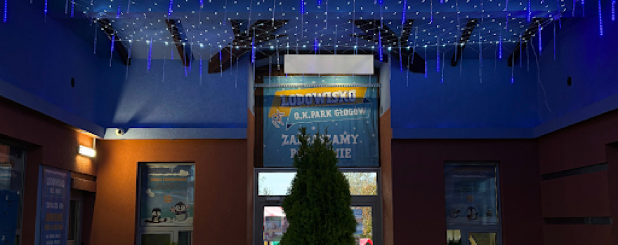 Ice rink O.K. PARK
