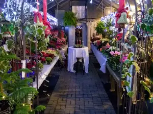 Dandelion Acres Garden Center