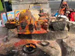 Thaalu betta