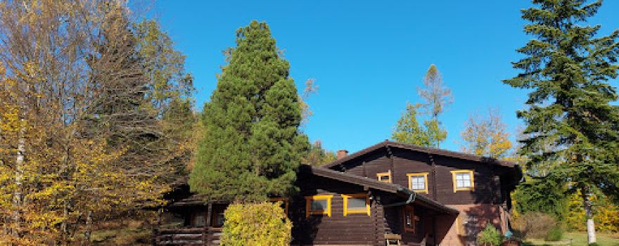 The Alm - Holiday village Loimanns