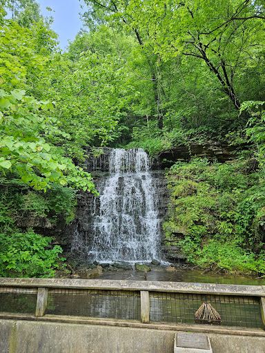Cove Spring
