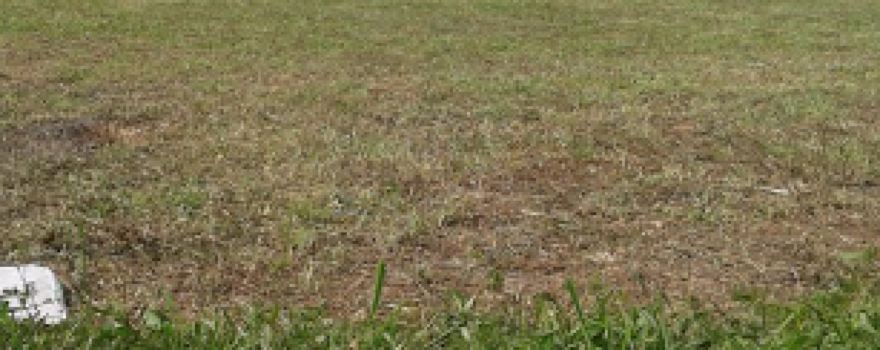Lapangan bola PSBK
