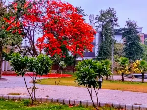 Maulana Altaf Hussain Hali Park
