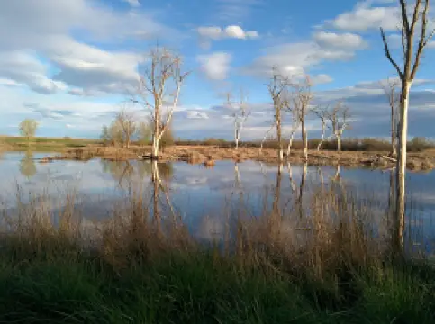 Cold Springs National Wildlife Refuge