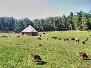 Stara Zagora Zoo