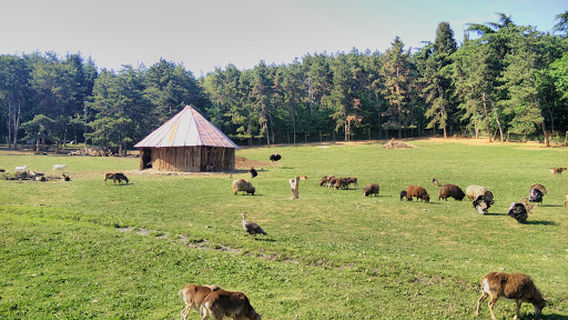 Stara Zagora Zoo