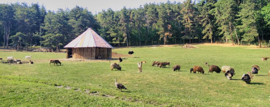 Stara Zagora Zoo
