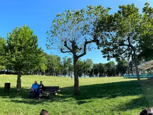 Campo de San Roque
