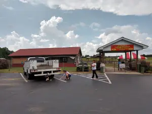Petting Farm