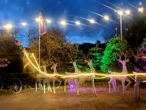 Reindeer Lodge
