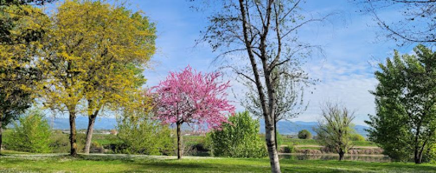 Parco All'Adige
