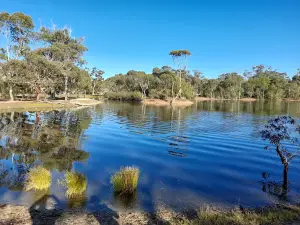 Apex Park