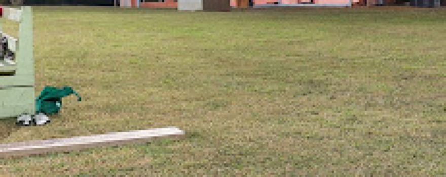 Play Field