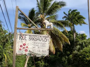 Ride Barbados