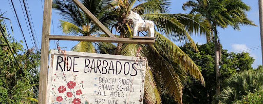 Ride Barbados