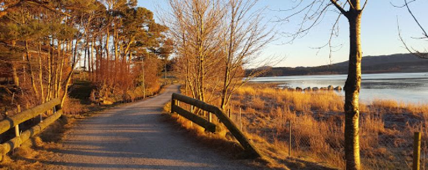 Park Sandtangen
