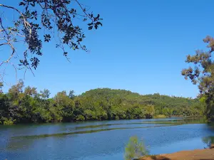 Parc Fayard