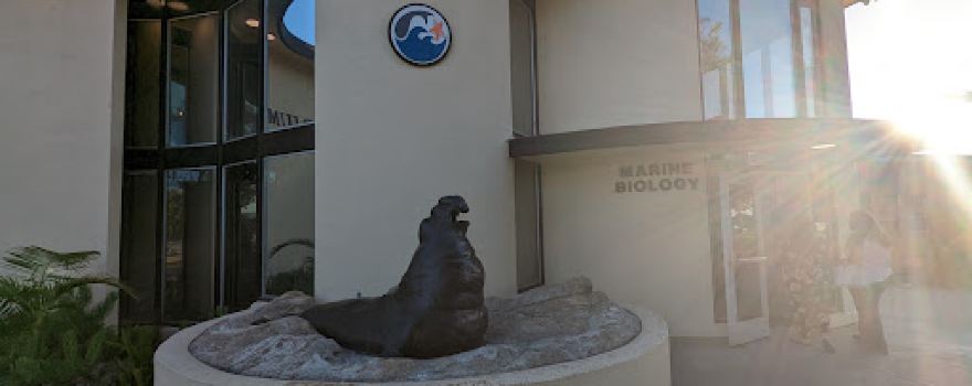 Cabrillo High School Aquarium