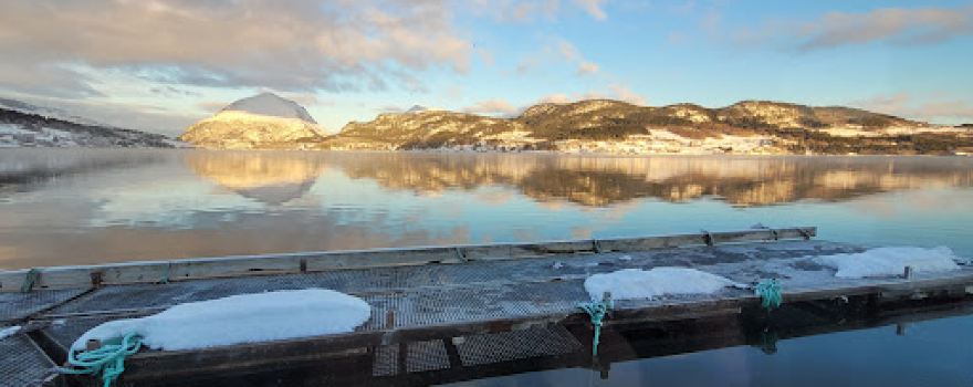 Nyt Skålvikfjorden