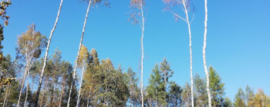 Jezioro Sumino