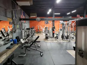 FIT 540