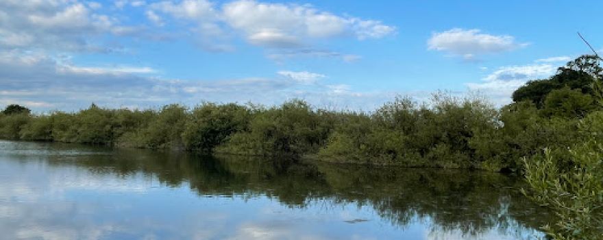 Pulfin Bog Nature Reserve