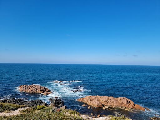 Kangaroo Island Lookout Tickets [2026] - Promos, Prices, Reviews ...