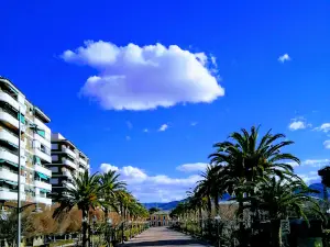 Plaza Rey don Pedro I