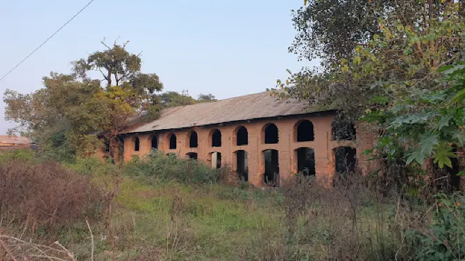 Tea estate (chai bagan)