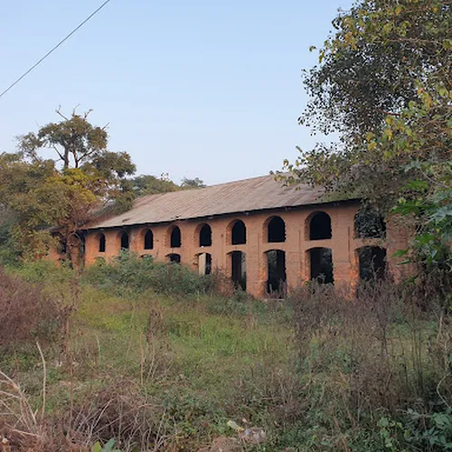 Tea estate (chai bagan)