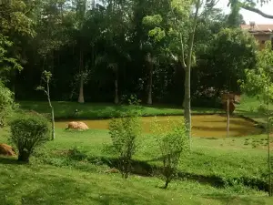Parque M.Horto