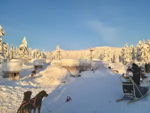 Mountain King's Sledehundkennel