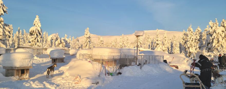 Mountain King's Sledehundkennel