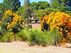 Sun City Country Club