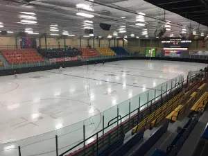 Aréna Nicol Auto
