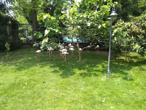 Gokcebey Çanakçılar Zoo