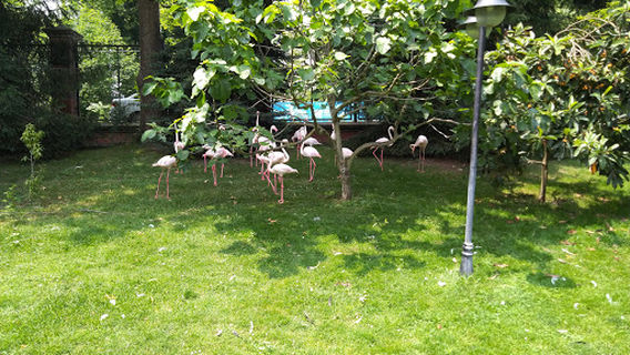 Gokcebey Çanakçılar Zoo