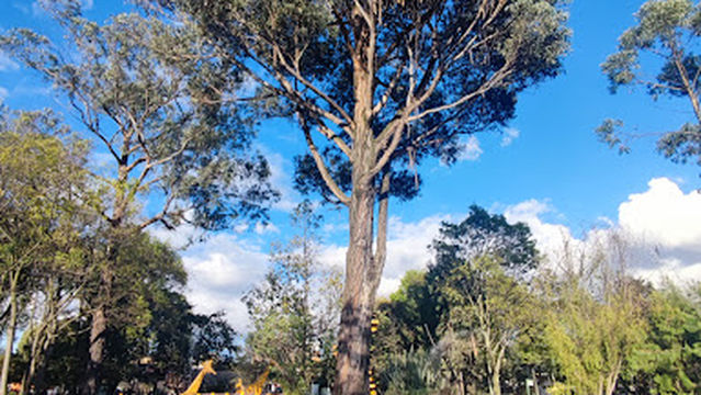 Parque Distrital Ciudad Montes