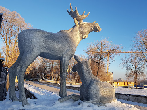 Ryazan viloyati, Ryazan shahridagi fohishalar