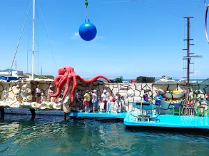 Anapskiy Del'finariy