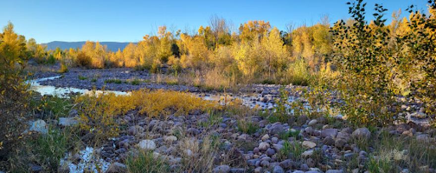 Ashley Nature Park