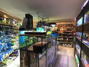 Lozère Animalerie