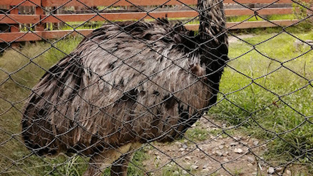 Bioparque Municipal Vesty Pakos Sofro